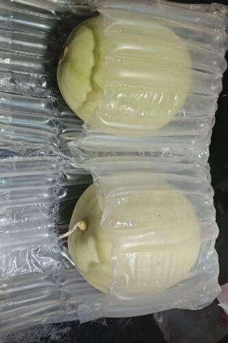 Ice Cream Melon photo review