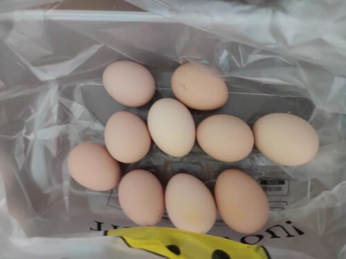 Brown Eggs photo review